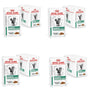 Royal Canin Veterinary Diabetic Katzenfutter Nass – 4x12x85g Sauce. Braune Stückchen in Sauce zur diätetischen Unterstützung bei Diabetes mellitus.