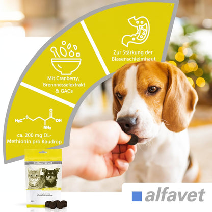Alfavet Feligum Struvit Kaudrops, Katzen und kleine Hunde, Doppelpack