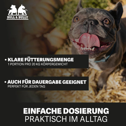 BULL & BULLY Frische Beute Trockenfutter - 10kg Lachs Rind Geflügel