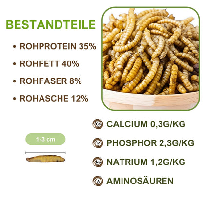 Soldatenfliegenlarven Hermetia illucens getrocknet 15 kg