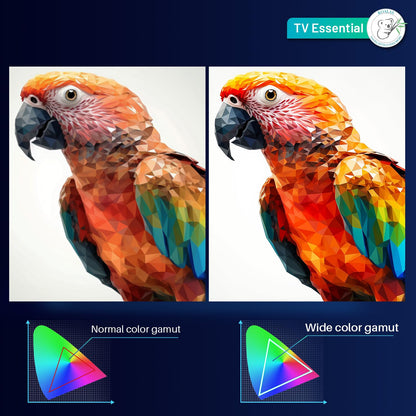 Antteq Essential Series 24 Zoll HD LED TV mit Triple Tuner