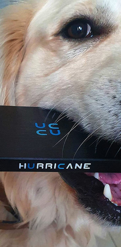 HURRICANE GD25612C Tragbare Festplatte - 1TB 2.5 Zoll USB-C