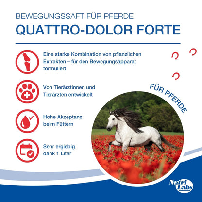 NutriLabs Quattro-Dolor forte Bewegungssaft Teufelskralle Pferd 1 L