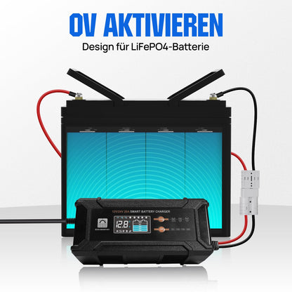 ECO-WORTHY 12V/24V 20A LiFePO4 Batterieladegerät Multi-Current
