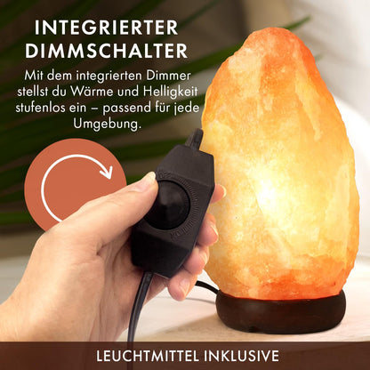 The Body Source Salzlampe 5-7 kg mit Dimmer und Holzständer