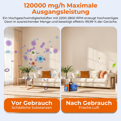 DDHTSAL Ozongenerator SS-Y01, 120000 mg/h für Räume bis 320 m²