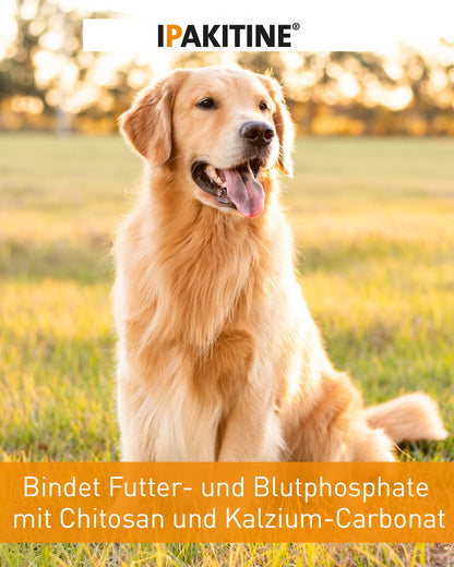 Vetoquinol Ipakitine 300 g Ergänzungsfuttermittel für Hunde und Katzen