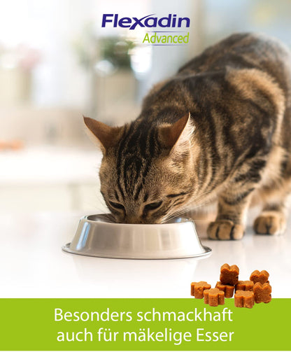 FLEXADIN ADVANCED Katze Gelenkleckerli mit Kollagen Typ II - 60 Stück