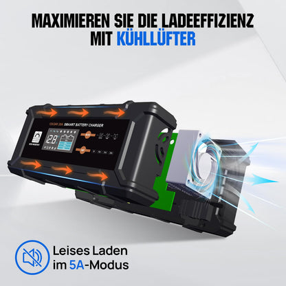 ECO-WORTHY 12V/24V 20A LiFePO4 Batterieladegerät Multi-Current