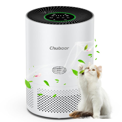 Chuboor PJ01 Luftreiniger mit H13 HEPA Filter, 305 m³/h CADR, 360°-Lufteinlass