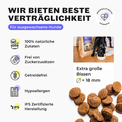 HEY HOLY Premium Trockenfutter für Retriever - Lamm getreidefrei 14kg