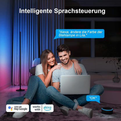 Lanmonlily LED Stehlampe RGBICW Smart Home Dimmbar - 2er Set