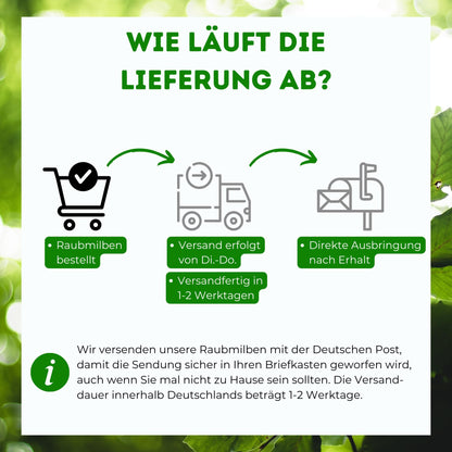 Futeco® Raubmilben MIX Nützlinge – Spinnmilben & Thripse, 60 Tüten