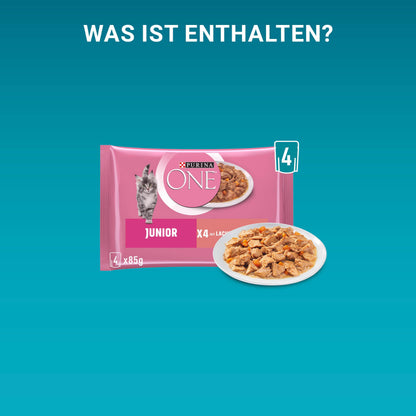 Purina ONE Junior Katzenfutter nass mit Lachs und Karotten, 12er Pack