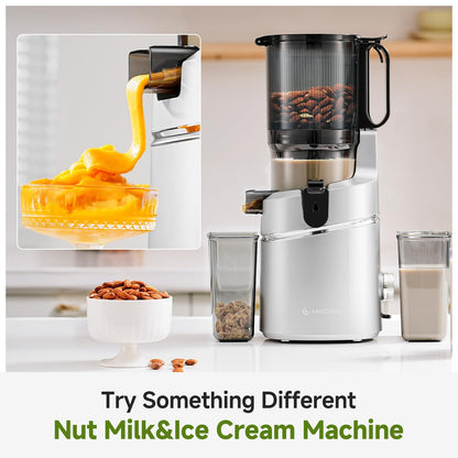 AMZCHEF Automatischer Slow Juicer 145mm Öffnung - Silber