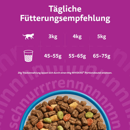 WHISKAS Trockenfutter Adult 1+ mit Thunfisch für Katzen, 3 x 3,8 kg