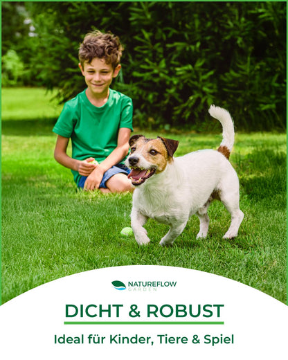 Premium Rasensamen schnellkeimend 10kg/400qm Herbst – TEST SEHR GUT