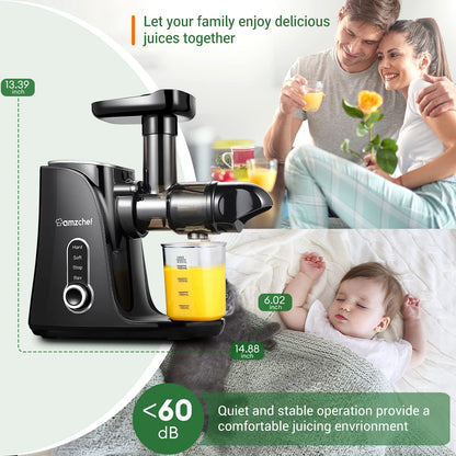 AMZCHEF Slow Juicer Entsafter Gemüse Obst – Schwarz
