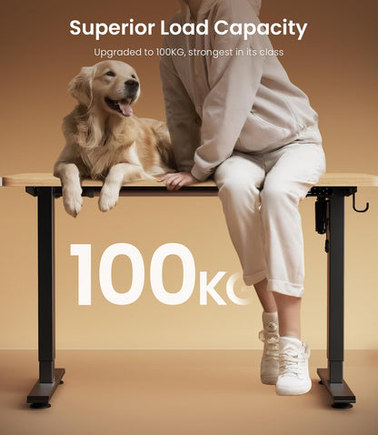 MAIDeSITe T1 Pro Elektrischer Stehschreibtisch 2-Bein - Schwarz