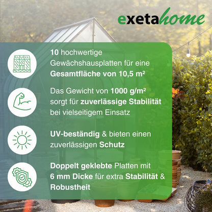 Exeta Hohlkammerplatten für Gewächshaus 10 Stk 6mm Transparent