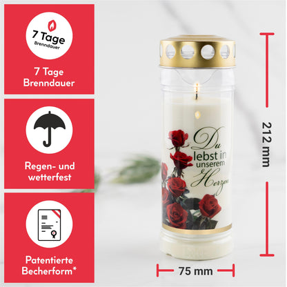 Hofer Friedlicht Grabkerzen Erinnerung Select 6er Set 7 Tage