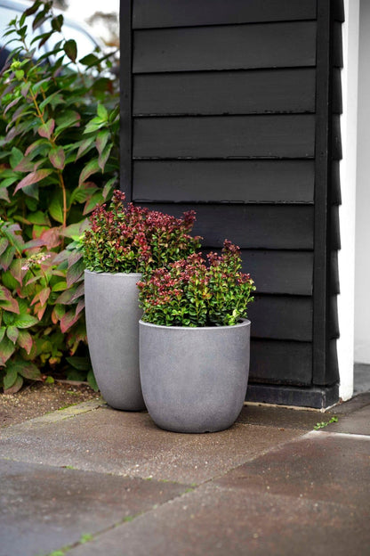 Capi Europe Kugel Smooth NL Blumentopf – 54x52 Schwarz