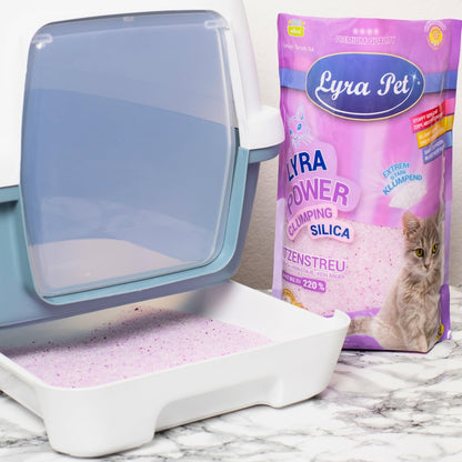 Lyra Pet Power Clumping Silica Katzenstreu, 12 x 5 L (60 L)