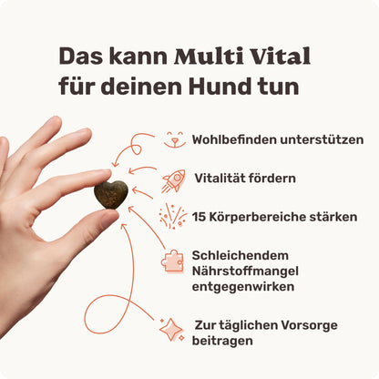 mammaly Multi Vital Multivitamin Snacks für Hunde, 120 Stück, 350 g
