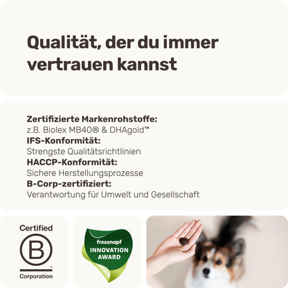 mammaly Immu Push Immunsystem Leckerli für Hunde 350g