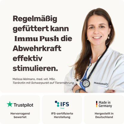 mammaly Immu Push Immunsystem Leckerli für Hunde 350g