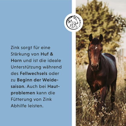 Annimally Zink Pellets für Pferde mit Schwarzkümmel, 2 kg