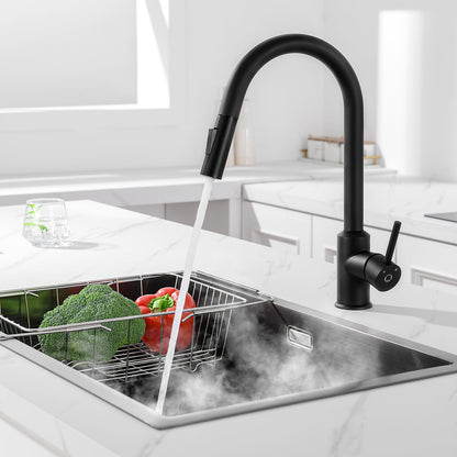 CECIPA Küchenarmatur Niederdruck Schwarz – Ausziehbarer Bogen