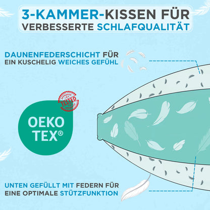 Sandaro Home Daunen-Federn-Kopfkissen 80x80 cm, 3-Kammer, 2er Set