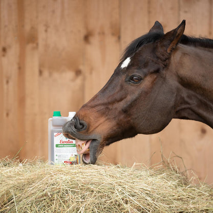 EWALIA Leber-Nierensaft Ergänzungsfuttermittel Pferd - 3x1 Liter