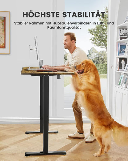ErGear Elektrisch Höhenverstellbarer Schreibtisch 100x60 cm