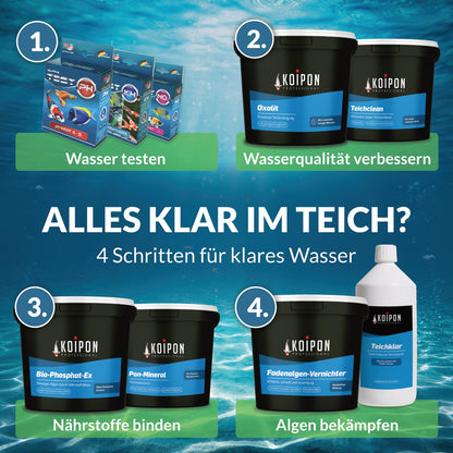 KOIPON Fadenalgen-Vernichter Teich-Algenmittel - 2.5 kg