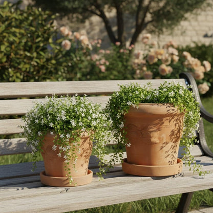 Teramico Blumentopf Terrakotta Conca Limoni mit Untersetzer 25 cm