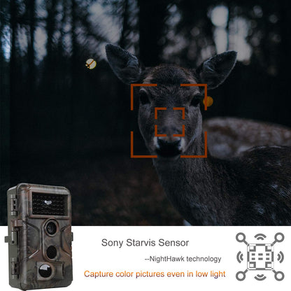 Wildkamera 64MP 1296P – Nachtsicht Outdoor Überwachung