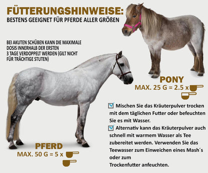 V-POINT REHE Plus Ergänzungsfuttermittel für Pferde, 450 g