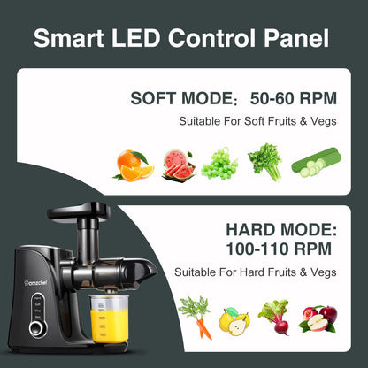 AMZCHEF Slow Juicer Entsafter Gemüse Obst – Schwarz