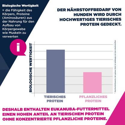 Eukanuba Senior Trockenfutter mit Huhn für grosse Rassen, 15 kg