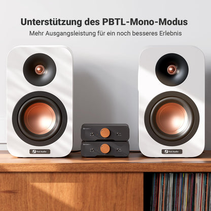 Fosi Audio ZA3 HiFi Audio Verstärker Stereo/Mono TPA3255