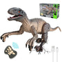 Kizmyee Velociraptor Dinosaurier ferngesteuert mit LED-Augen und Sound, Fernbedienung in Fossilform