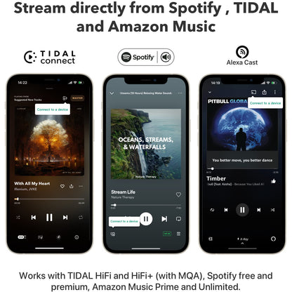 WiiM Mini AirPlay 2 Wireless Audio Streamer Hi-Res Multiroom