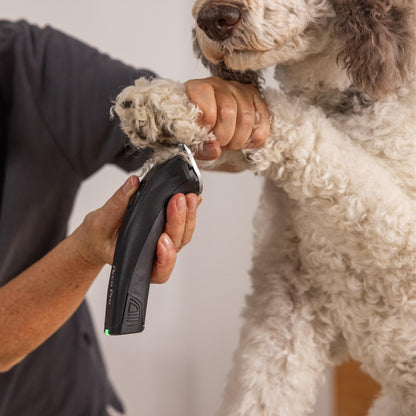 Agrarzone Wahl Moser Arco Pro Hundeschermaschine 2x Akku