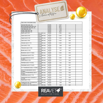 ReaVET Lachsöl für Hunde, Katzen & Pferde 5 Liter – Omega-3 Fischöl