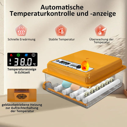 Chalixion Brutautomat vollautomatisch für 16 Eier mit LED Eierleuchte