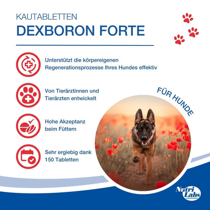 DEXBORON forte Kautabletten für Hunde – 150 Stück
