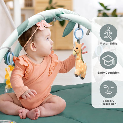 Vanplay Baby Spielmatte mit Spielbogen und 6 Greifspielzeugen