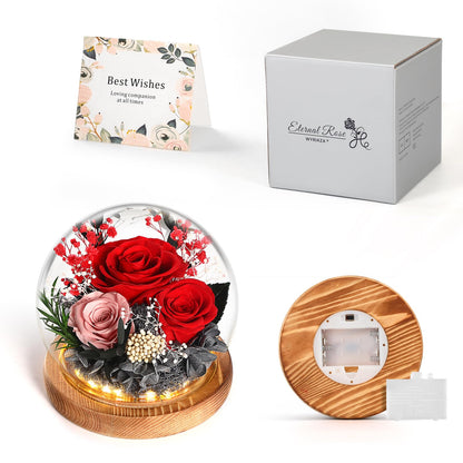 WYRIAZA Ewige Rose im Glas mit LED-Licht – konservierte Rose